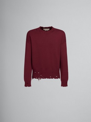 Marni Algodon Crewneck Sueter Rojos | MXEGJ97324