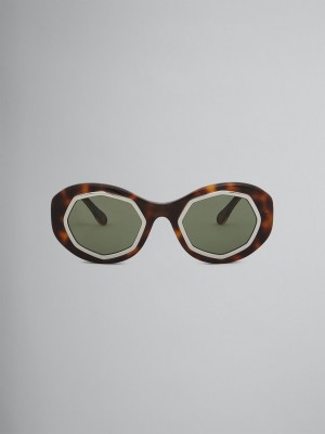 Marni Mount Brumo Acetate Marrom Verdes | FMXUI22952