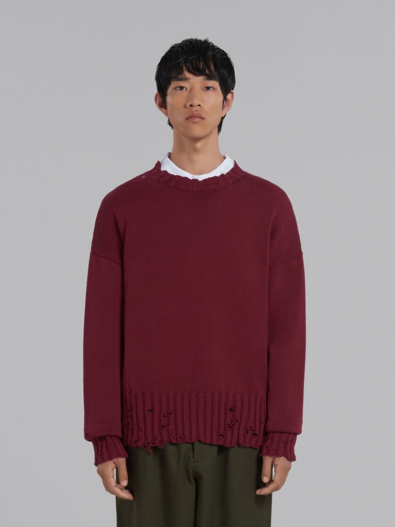 Marni Algodon Crewneck Sueter Rojos | MXEGJ97324