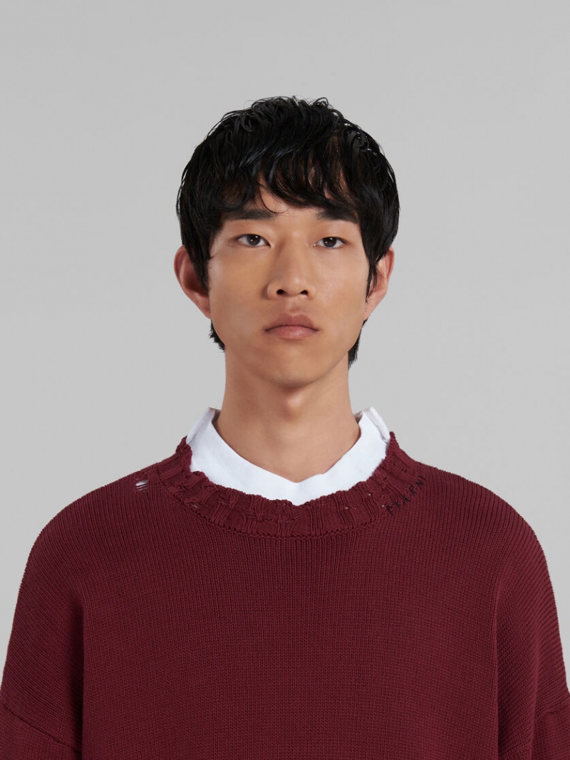 Marni Algodon Crewneck Sueter Rojos | MXEGJ97324