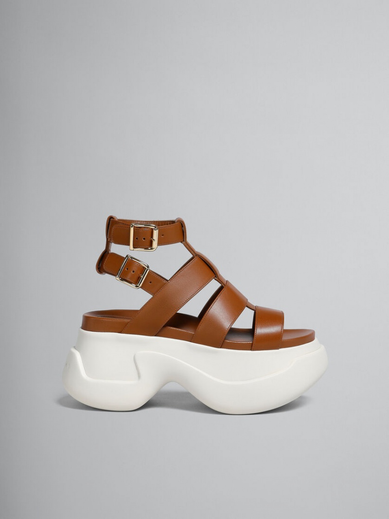 Marni Cuero Aras 23 Gladiator Sandal Marrom | MXQAV90788