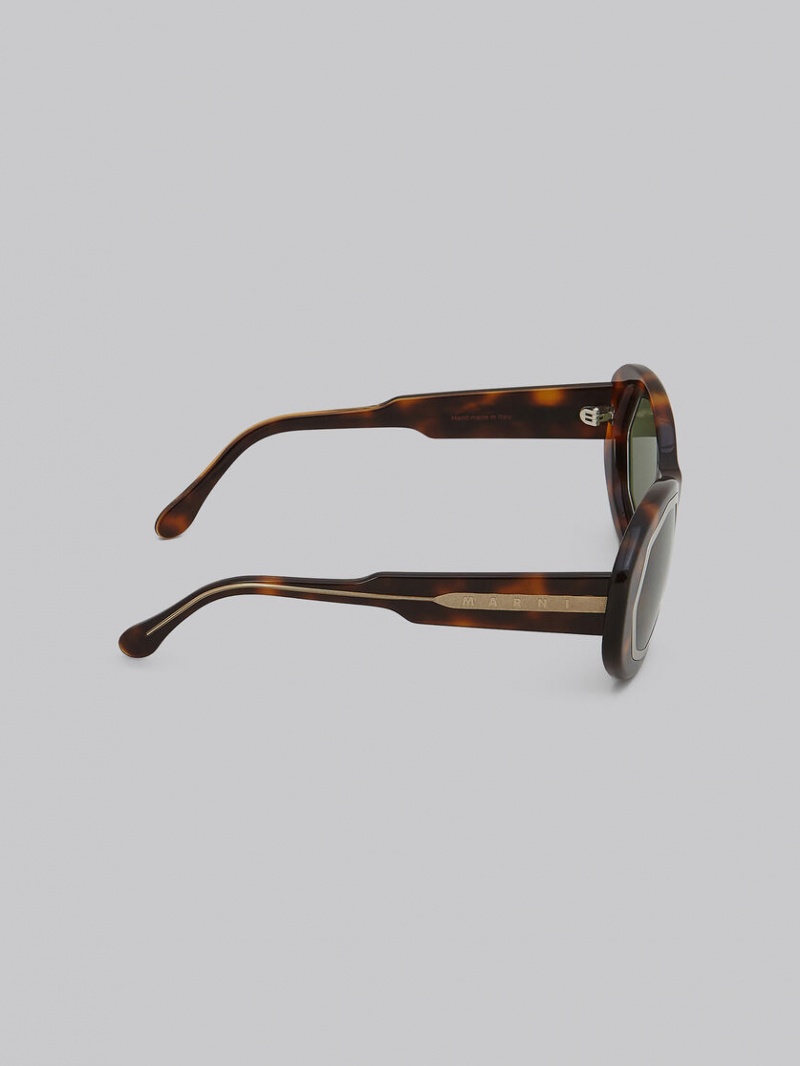 Marni Mount Brumo Acetate Marrom Verdes | FMXUI22952